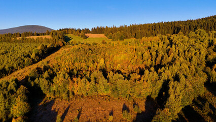Aerial view of yellow aspen and green pine forests in early autumn in Colorado, USA. A picturesque autumn mountain landscape.