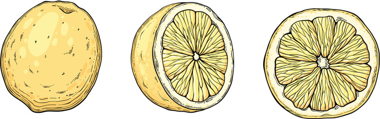 Set Sketch lemonade. Summer cold drinks, hand drawn yellow lemons slices and leaves. Glass of lemonade with ice vector illustration set. Drink fruit lemonade graphic, juice and mint leaf © lupascoroman