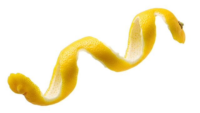 Yellow worm or snake on black background