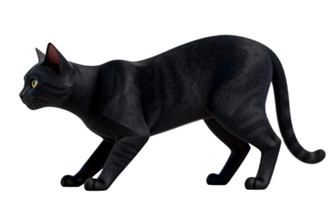 Black Domestic Cat in Alert Stance