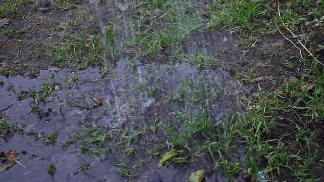 Raindrops hitting wet ground. Green grass and mud visible. Water creates many splashes, forming small puddles. Ground absorbs moisture. Weather conditions show outdoor precipitation.