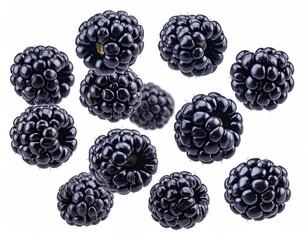 Isolated ripe blackberries floating against a clean white backdrop