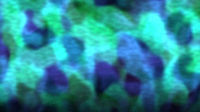 Aurora borealis northern lights flowing gradient 4K seamless loop GPU shader motion graphics ethereal background