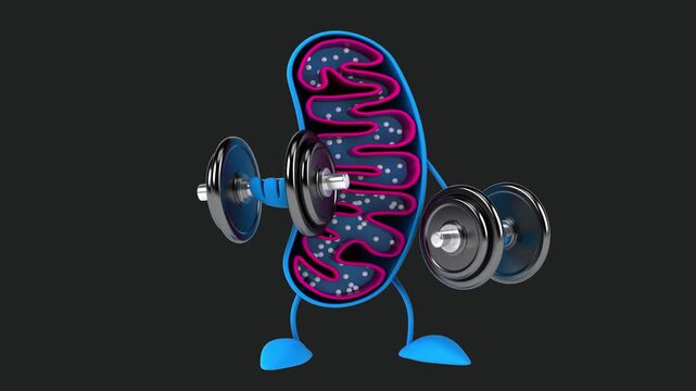 Fun 3D cartoon mitochondria (with alpha channel)