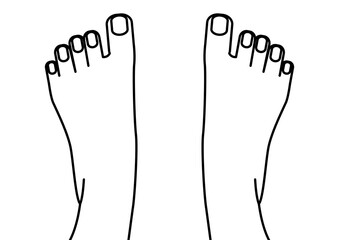 ネイルケアやフットマッサージをイメージした足の指・スキンケア・皮膚科の解説・フットケア・美容用