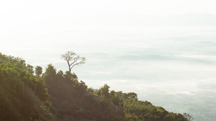 Dong Nai, Viet Nam - October 27, 2019 - Nature on the top of Chua Chan moutains.
