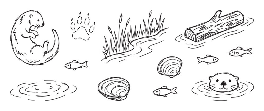Collection of hand-drawn river otter illustrations with fish, shells, reeds, a log, and paw prints in a cute black and white doodle style for nature and wildlife concepts