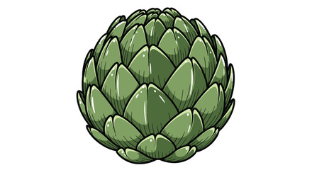 Fototapeta premium A detailed illustration of a fresh, green artichoke, depicted with clear lines and subtle shading, presented on a clean white background.