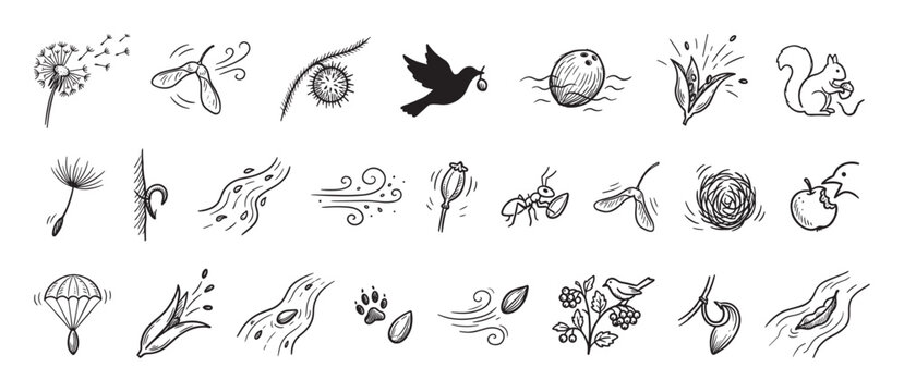 Collection of hand-drawn seed dispersal icons illustrating various methods of plant propagation like wind, water, and animal transport in a simple black and white doodle style