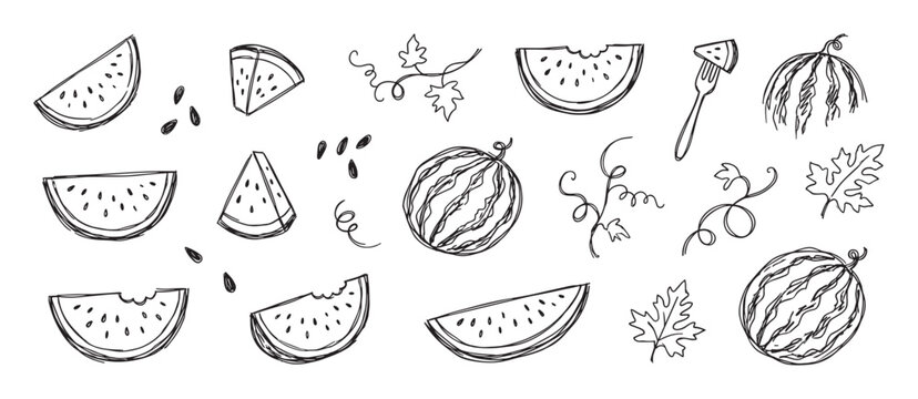 Hand drawn watermelon doodle collection featuring slices, seeds, vines, and whole fruits in a minimalist black line art style, representing fresh summer produce and healthy food