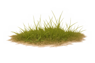 Green grass tuft growing in dry soil, representing growth, fresh start, garden, nature, and organic elements