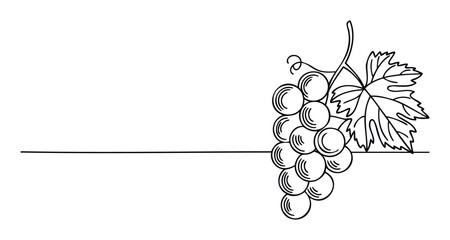 A minimalist line drawing of a grape cluster with a leaf and tendril, featuring a prominent horizontal line, suitable for wine labels, food promotions, culinary branding, or natural product