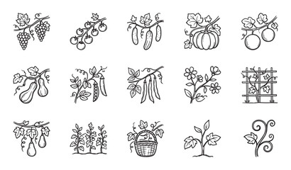 Collection of hand-drawn garden icons showing various fruits, vegetables, and plants in a simple black and white line art style for agricultural and farming concepts