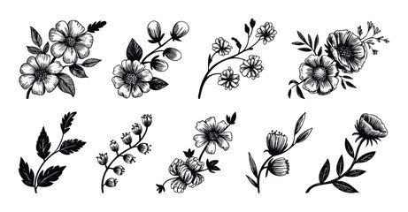 Versatile botanical doodle collection showcasing diverse hand drawn flowers, buds, and foliage for creating natural themed graphic layouts and elegant decorative accents