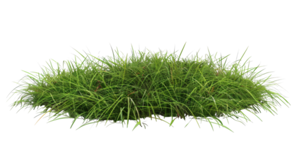Lush green grass field with realistic textures isolated on a white background