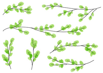 Watercolor spring branch elements for nature background　春の新芽のついた枝のイラストセット