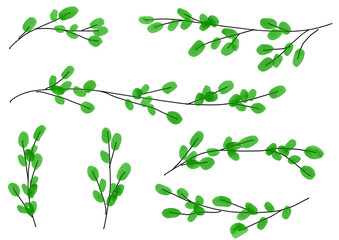 Watercolor spring branch elements for nature background　春の新芽のついた枝のイラストセット