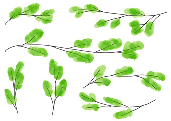 Watercolor spring branch elements for nature background　春の新緑の葉がついた枝のイラストセット