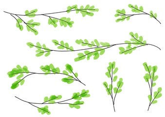 Watercolor spring branch elements for nature background　春の新芽のついた枝のイラストセット