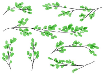 Watercolor spring branch elements for nature background　春の新芽のついた枝のイラストセット