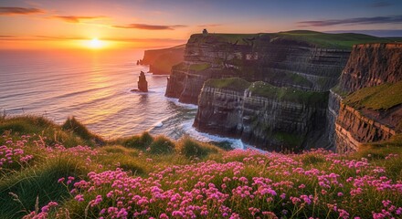 Cliffs of Moher Ireland Sunset Flowers Ocean Waves Scenic Landscape