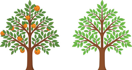 Obraz premium Illustration of orange fruit tree and lush green leafy tree side by side isolated on white background for botanical design