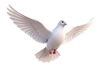 Obraz premium White Dove in Flight Symbolizing Peace