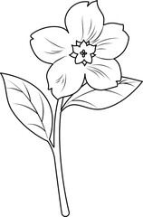 Obraz premium A detailed illustration of a flower with leaves viewed from the front