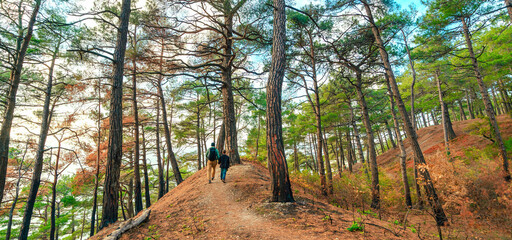 Father and son hiking in the forest