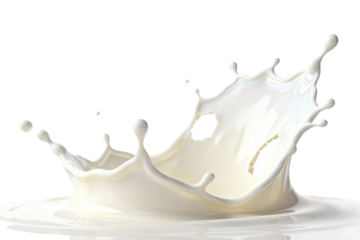 Splashing Milk: Dynamic White Liquid Splash