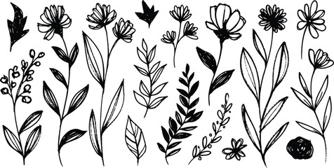 Set of decorative floral design elements. Flat cartoon vector illustration. Illustration of nature flower spring and summer