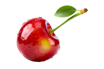Fresh Red Cherry with Green Stem and Leaf