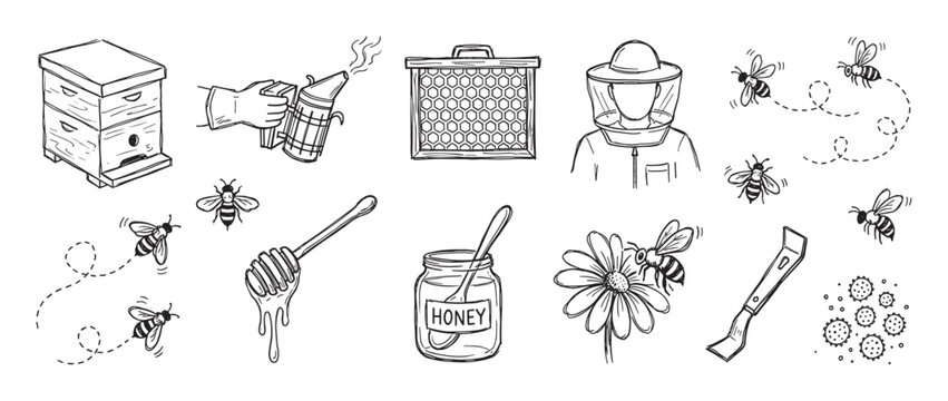 Hand-drawn set of beekeeping illustrations in a doodle style showing a beehive, beekeeper, honey jar, honeycomb, bees, and various apiary tools