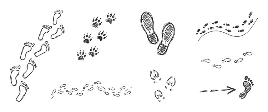 Hand-drawn doodle collection of various footprints including human feet, animal paws, and shoe imprints, illustrating different paths and trails in a black and white sketchy line art style