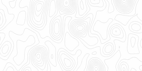 Minimal Lines Topographic contour lines grid map seamless pattern. Minimal Lines Topographic contour lines grid map seamless pattern. Background of the topography map with lines. © Elana
