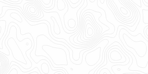 Minimal Lines Topographic contour lines grid map seamless pattern. Minimal Lines Topographic contour lines grid map seamless pattern. Background of the topography map with lines. © Elana