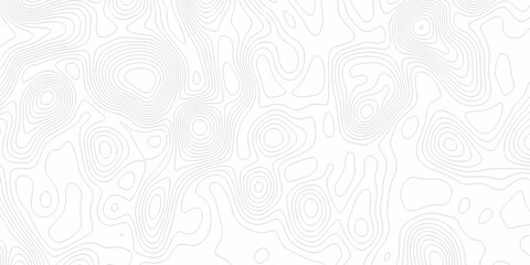 Minimal Lines Topographic contour lines grid map seamless pattern. Minimal Lines Topographic contour lines grid map seamless pattern. Background of the topography map with lines. © Elana