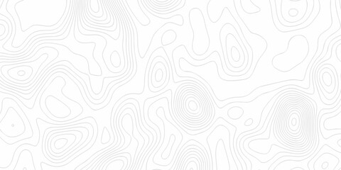 Minimal Lines Topographic contour lines grid map seamless pattern. Minimal Lines Topographic contour lines grid map seamless pattern. Background of the topography map with lines. © Elana