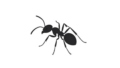 Minimal flat illustration of an ant with simple shapes and smooth curves, modern vector style, monochrome palette, isolated on transparent background