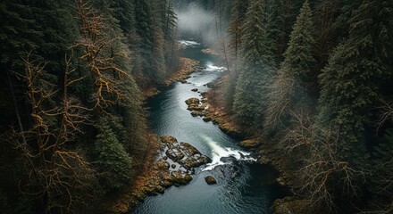 Misty Forest River Flowing Through Lush Green Pines and Rocky Banks