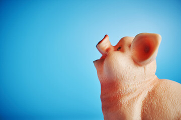 cute piggybank looking up against blue background
