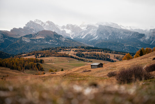 Autumn Dolomites valley with alpine meadow and rustic cabin