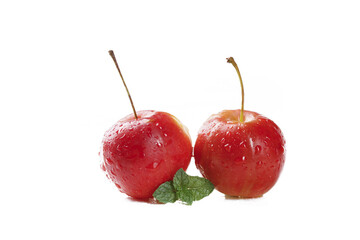 Fresh Red Apples with Water Droplets and Mint Leaf © ThiLe