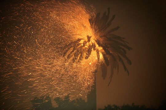 Big Palm Tree Burns and Spit Embers