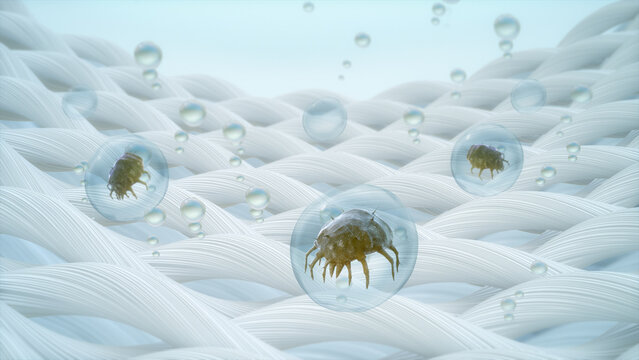 3D rendering,  Bubble remove Dust mite from fabric fibers, Concept of laundry hygiene