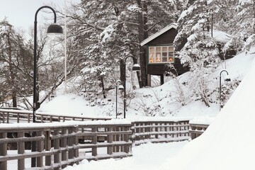 A cozy wooden cabin nestled among tall conifer trees by a seaside promenade in Nacka, Sweden