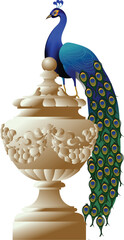 Elegant vector illustration of a royal Indian peacock perched on an ornate classical urn, featuring vibrant feathers, luxury detailing, and a clean white background.