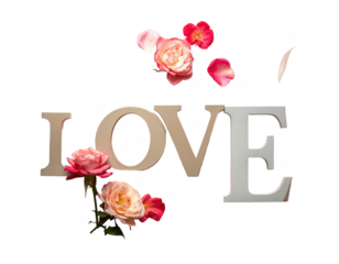 Elegant love typography style