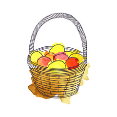 vector drawing basket with eggs, Easter composition at white background with color watercolor paint stains, hand drawn illustration