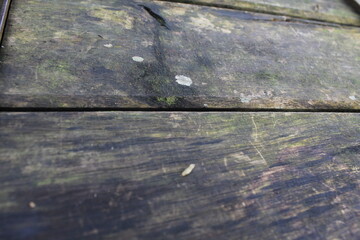 Weathered wooden surface texture with natural aged grain pattern